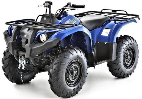 GRIZZLY 450 - 550cc